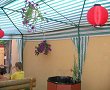 Relaxare